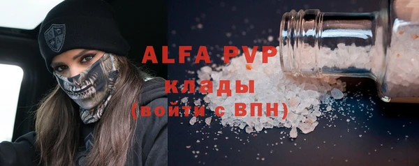 ГАЛЛЮЦИНОГЕННЫЕ ГРИБЫ Белокуриха