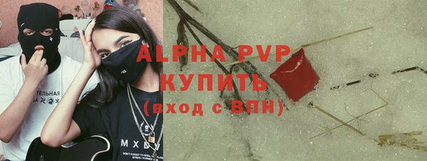 ГАЛЛЮЦИНОГЕННЫЕ ГРИБЫ Белокуриха