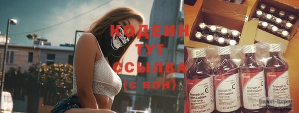 ГАЛЛЮЦИНОГЕННЫЕ ГРИБЫ Белокуриха