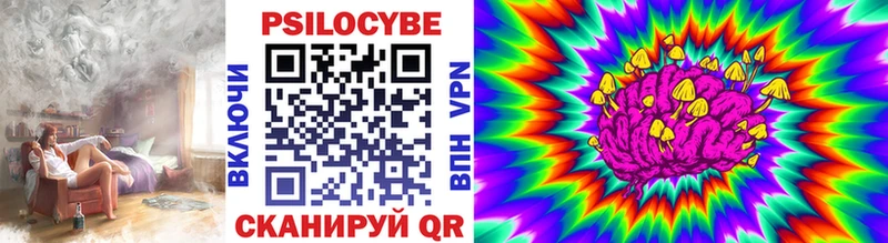 как найти закладки  даркнет формула  OMG как войти  Псилоцибиновые грибы прущие грибы  Куса 